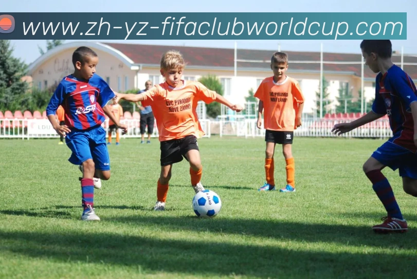 世界杯赛程平台生态图